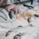 В Удмуртии рыбак пытался защитить незаконно добытый улов от инспектора с помощью ножа