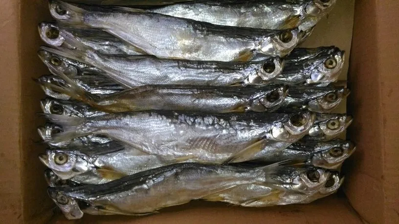 фотография продукта Рыба вяленая