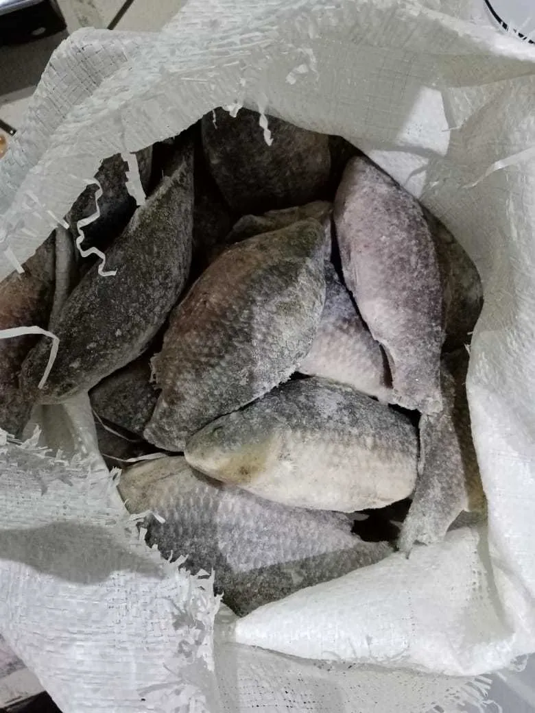  Рыба речная свежемороженная оптом  в Ижевске и Удмуртской республике 4