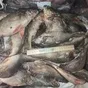  Рыба речная свежемороженная оптом  в Ижевске и Удмуртской республике 3
