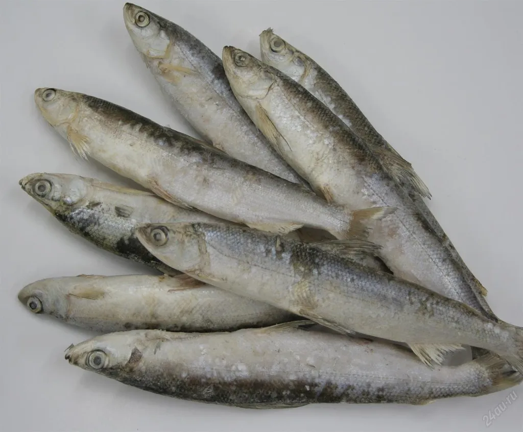  Рыба речная свежемороженная оптом  в Ижевске и Удмуртской республике 7